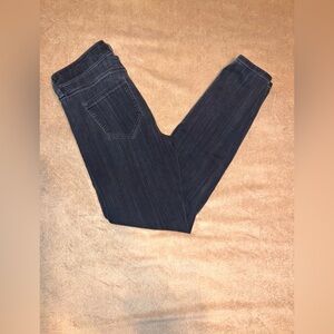 Liverpool Los Angeles Charcoal Gray Skinny Jeans